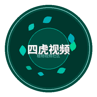 四虎视频